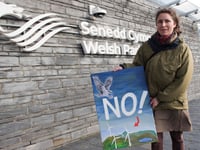Election: What your candidates will do for Wales' environmental crisis