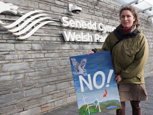 Election: What your candidates will do for Wales' environmental crisis