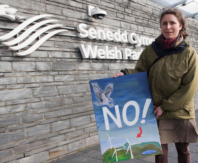 Election: What your candidates will do for Wales' environmental crisis