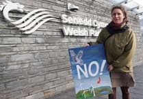 Wales' environmental crisis: Here's what your Senedd candidates would do if elected
