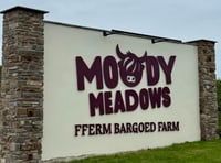 Attraction wants permission for already built signs