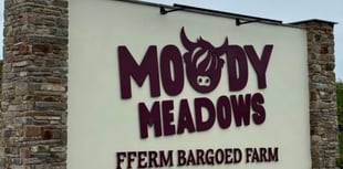 Attraction wants permission for already built signs