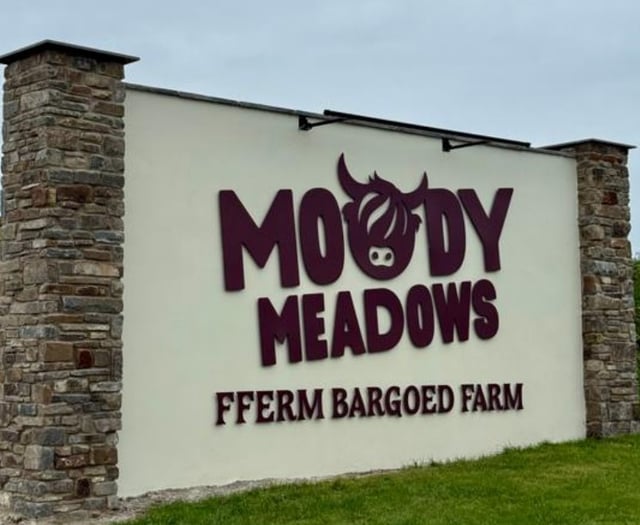 Attraction wants permission for already built signs