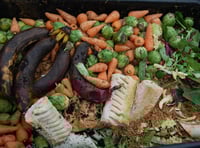 Meet the couple recycling one town’s food waste