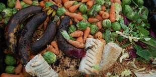 Meet the couple recycling one town’s food waste