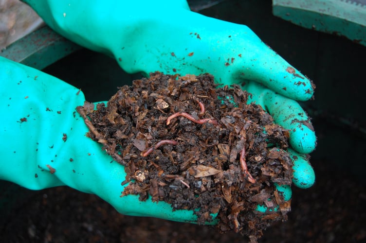 The compost comes bagged up fresh and wriggling.