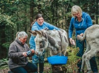 Outdoor health service boosts health of patients in first two months
