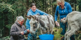 Outdoor health service boosts health of patients in first two months