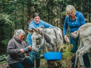 Outdoor health service boosts health of patients in first two months
