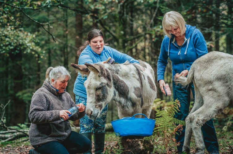 Participants of the Awyr Iach Outdoor Health Programme with Dyfi Donkeys
