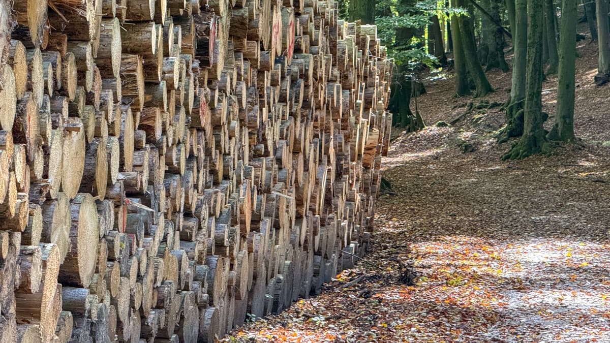 Devils Bridge company’s bid to create green energy