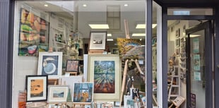 Art exhibition to raise money for children’s ward