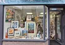 Ceredigion art exhibition to raise money for children’s ward