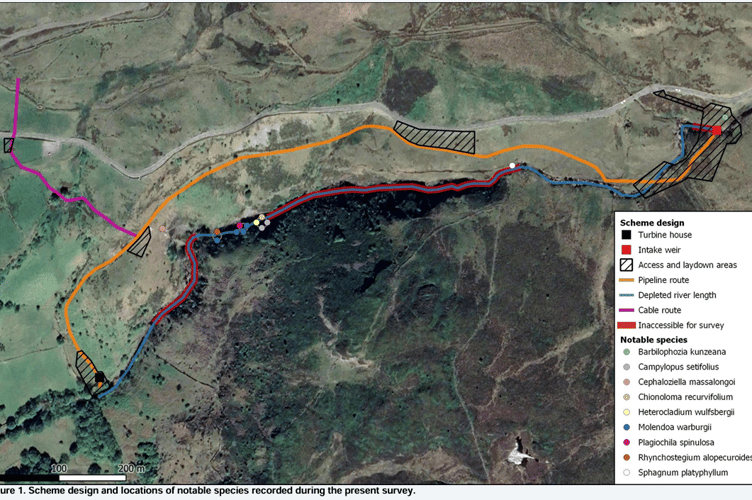 The plans, along with the bryophytes found along the site in a 2023 study.