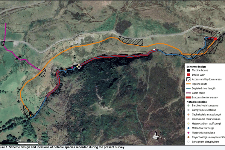 The plans, along with the bryophytes found along the site in a 2023 study.