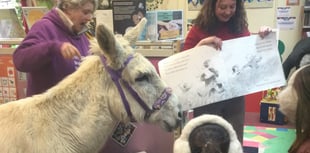 Donkey walks into a library and encourages new families to sign up