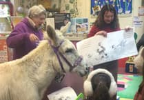 Donkey walks into a library and encourages new families to sign up for library cards