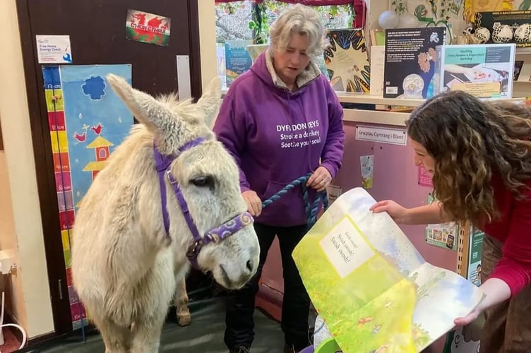 The donkey was a proficient reader.