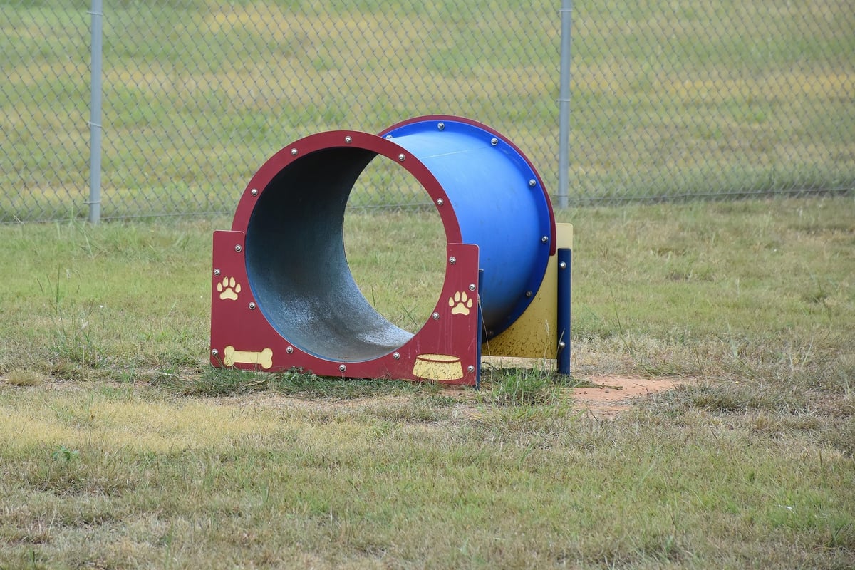 Llandysul dog park plans refused over noise and road safety concerns visual