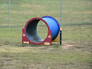 Dog park plans refused over noise concerns