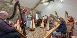Renowned Welsh harpists attend school workshop