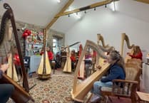 Renowned Welsh harpists attend school workshop
