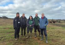 Wales strengthens environmental protections as landmark Bill passes Senedd
