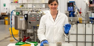 New seaweed extract shows 'promising' health benefits