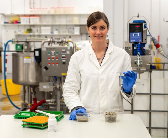 New seaweed extract shows 'promising' health benefits