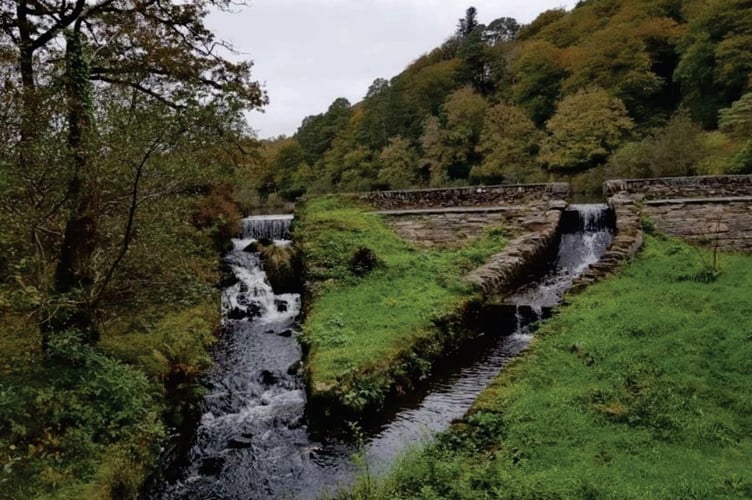 Llyn Mair, at Maentwrog. Photo: ENPA plans
