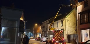 Dimmer streetlights in Powys 'dark sky and biodiversity-friendly'