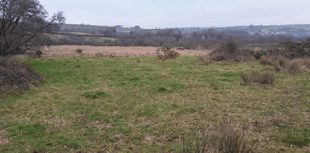 Graziers needed for two nationally important sites