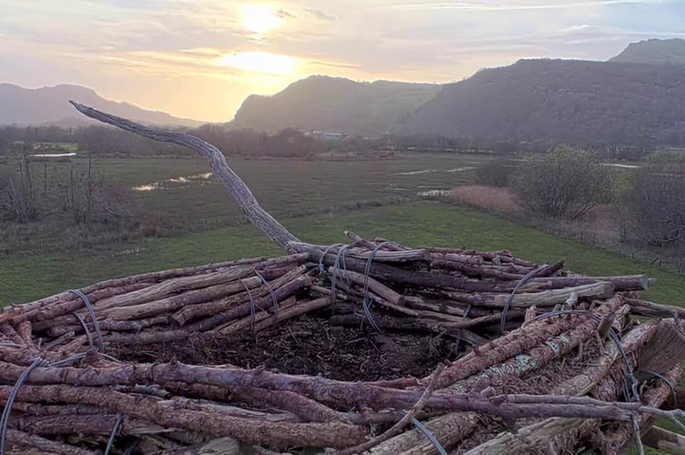 A camera will now also monitor the Pont Croesor nest