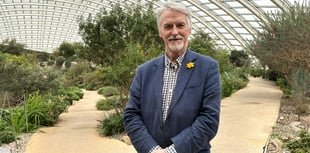 Landowners team up to increase tree planting across Wales