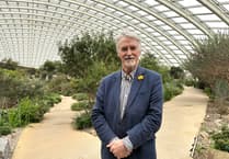 Landowners team up to increase tree planting across Wales