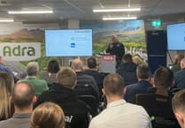 Gwynedd businesses unite for growth opportunities