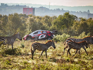 Elfyn Evans battles mud and rain, sits second in Kenya
