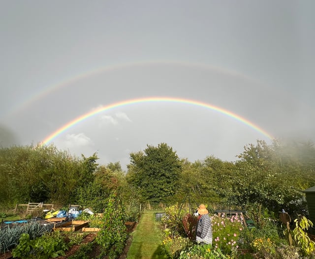 Public meeting on allotment purchase plan