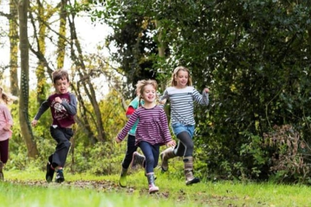 Discover wildlife at RSPB Ynys-hir with Wild Wednesdays