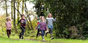 Discover wildlife at RSPB Ynys-hir with Wild Wednesdays