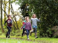 Discover wildlife at RSPB Ynys-hir with Wild Wednesdays