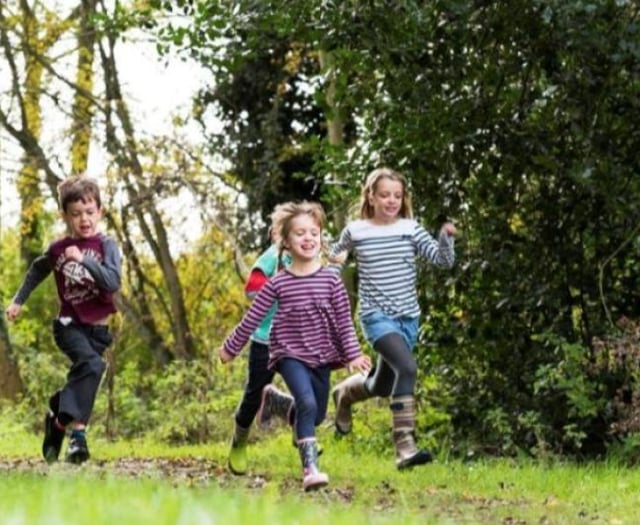 Discover wildlife at RSPB Ynys-hir with Wild Wednesdays