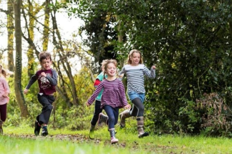 Discover wildlife at RSPB Ynys-Hir