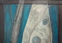 Explore New Exhibitions at Cardigan Gallery