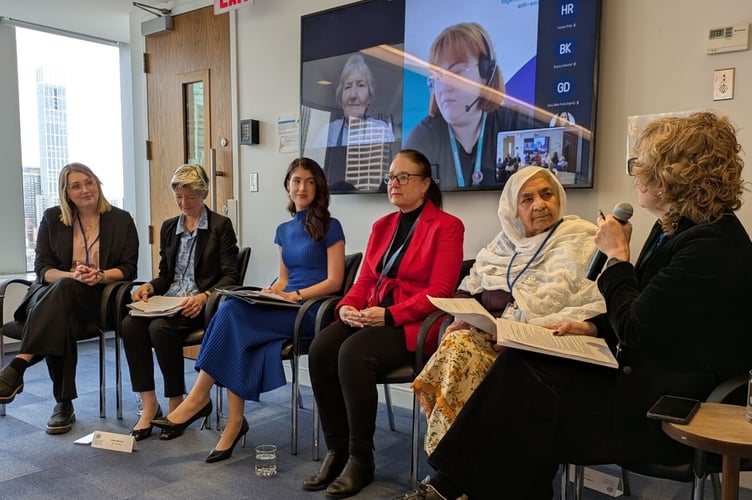 Dr Rebecca Zerk at a United Nations panel discussion