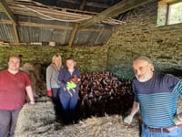Teifi Easter egg hunt to support chicken charity