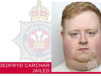 Carmarthenshire delivery driver jailed for fatal collision