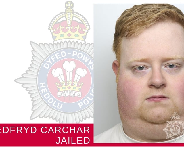 Carmarthenshire delivery driver jailed for fatal collision