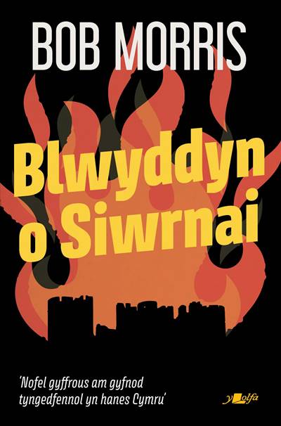 Blwyddyn o Siwrnai gan Bob Morris