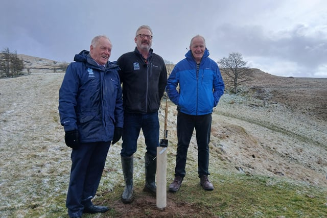 Sycamore Gap sapling planted in Eryri to honour iconic landmark